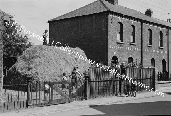 RATHMINES ROAD HAYSTACK